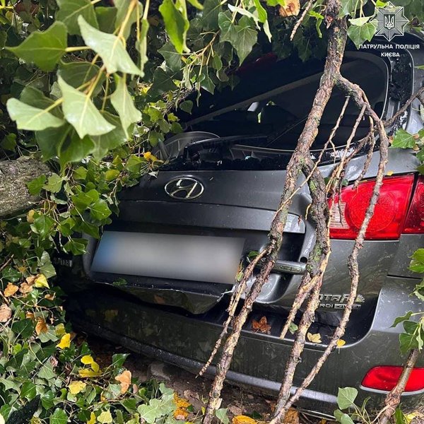 Украина, непогода, ураганный ветер, сильный дождь