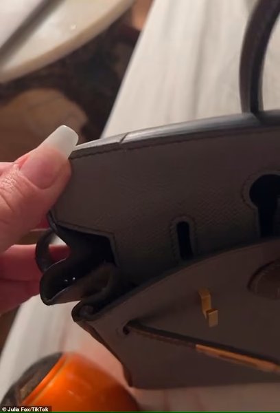 джулия фокс, сумка биркин, сумка ерме биркин, Hermes Birkin, нападение