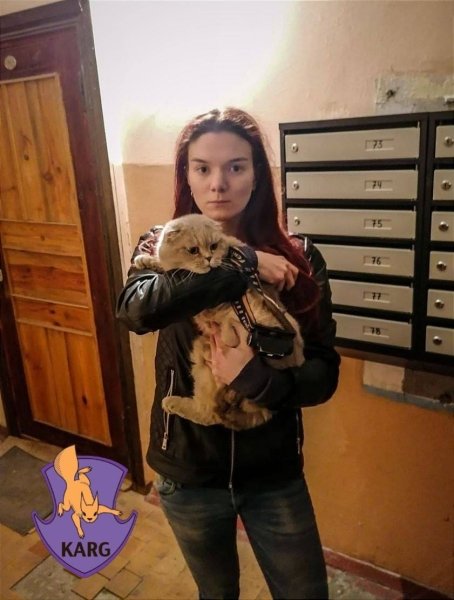 Kyiv Animal Rescue Group