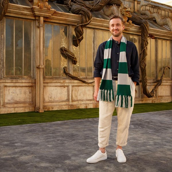 Том Фелтон, актер