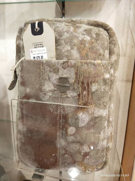 Малайзия, плесень, сумки