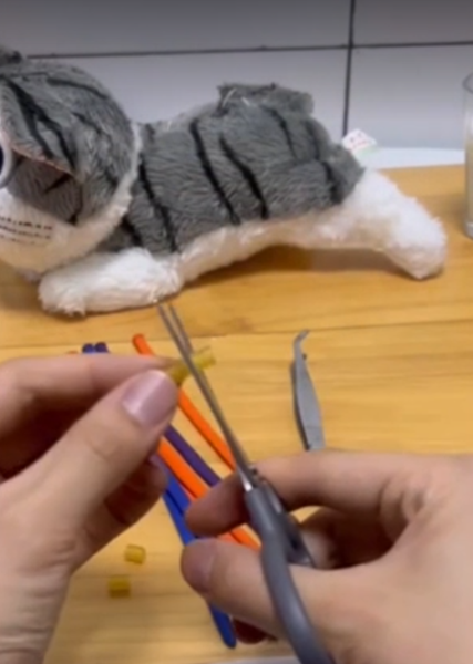 Искусственная мать для котят, спасение животных, коты, домашние любимцы, фото, Китай, курьезы, изобретения