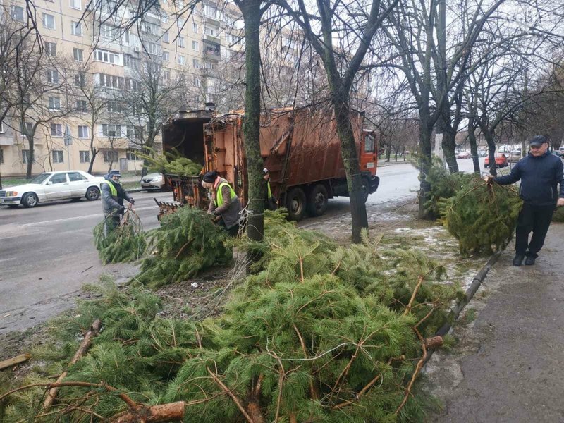 елки в Одессе