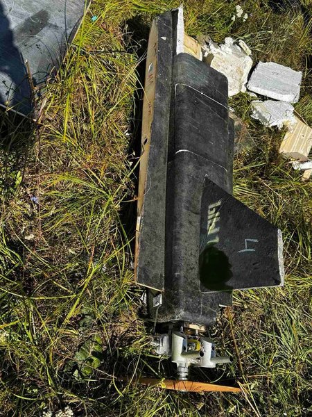 Дрон Гербера