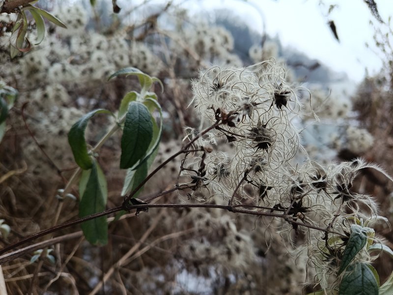 Фото на основную камеру Xiaomi Redmi Note 15 4G