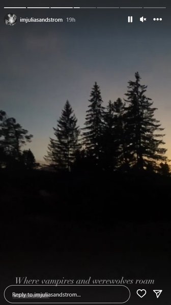 Джулия Сандстром, замок бран, замок дракулы