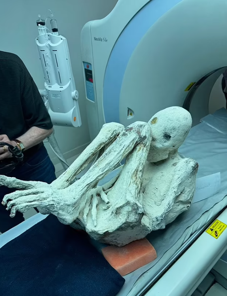 Тела инопланетян, мумии, Перу, Хайме Мауссан, скандал, судебный иск, НЛО, останки неизвестных существ, расхищение гробниц, фото