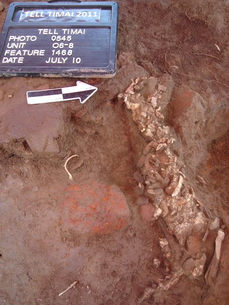 археологія, історія, писемність, дослідження, стародавній єгипет