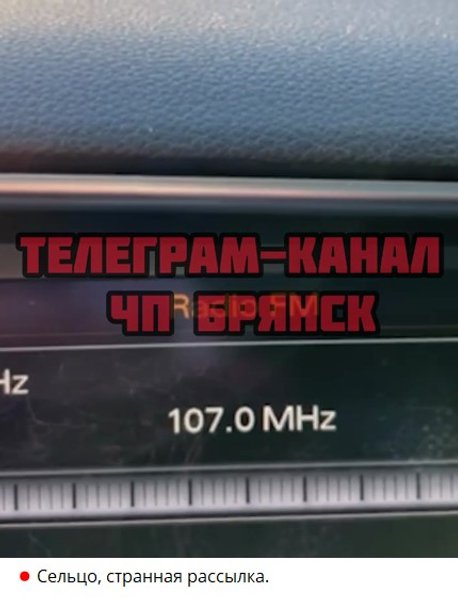 Сельцо, БПЛА, Брянская область, дроны, МЧС РФ