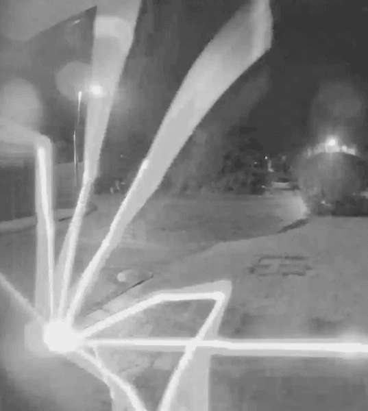 Огромный паук, паук, гигантский паук, арахнид, дверной звонок, дверная камера, Ring, датчик движения,