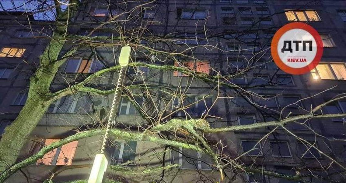 троещина, ватутина, ребенок, выбросили, окно, восьмого, этажа, пьяная