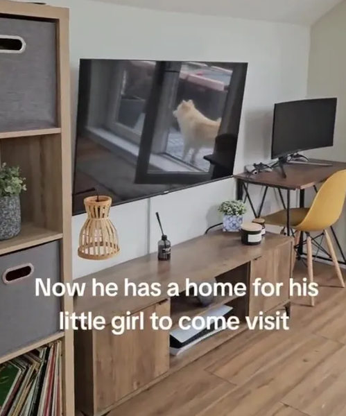 Чердак стал квартирой, ремонт, аренда жилья, недвижимость, фото до и после, Великобритания