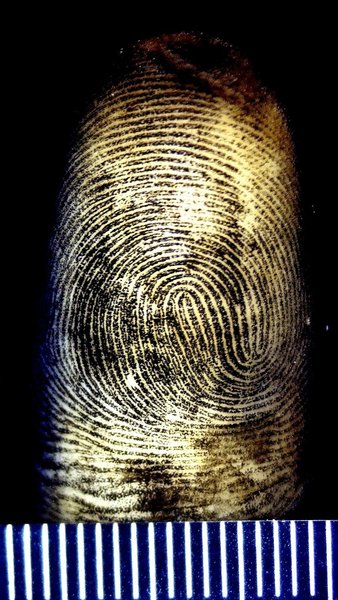 Дактилоскопические отпечатки, идентификация тел погибших защитников Украины, идентификация репатриированных тел по ДНК, идентификация тест ДНК, ДНК-тест, ДНК-тест надежность, судебно-медицинская криминалистика, идентификация тел погибших воинов ВСУ, постановление об опознании, дактилоскопическая идентификация, генетический материал для сравнения, генетический материал для опознания, Репатриированные тела бойцов ВСУ