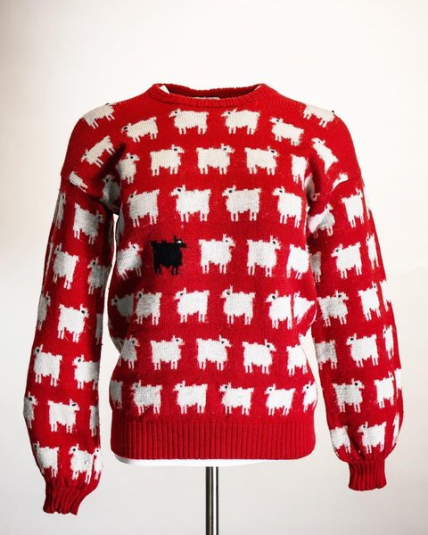 светр Діани, принцеса Діана, паршива вівця, чорна вівця