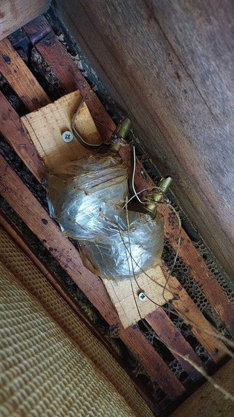 мина улей, киевская область, минирование, пчелы