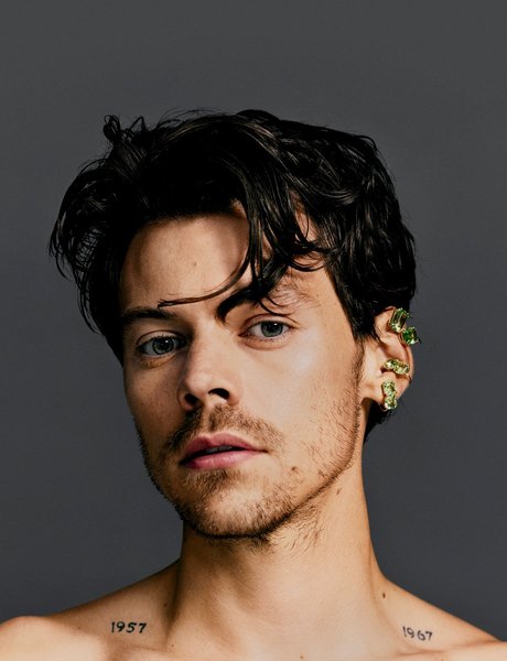 гарри стайлз, женское платье, One Direction