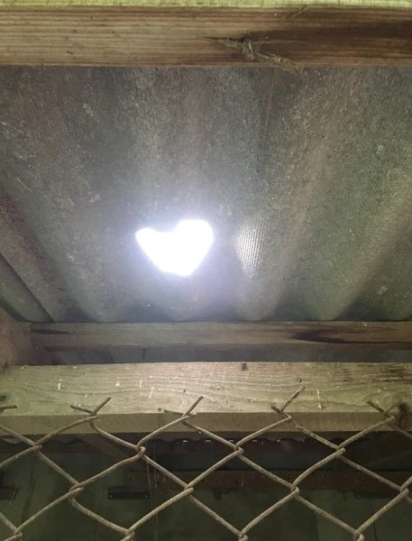 град, непогода, черновицкая область, шифер