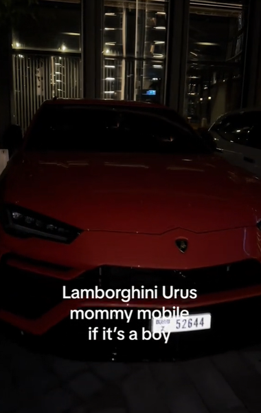 Беременность дубайской домохозяйки, жена миллионера, жизнь богатых, Дубай, фото