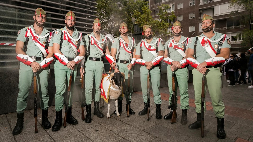 легионеры, солдатский талисман, коза