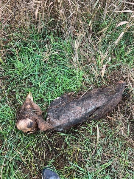 ένας εξωγήινος ένας εξωγήινος