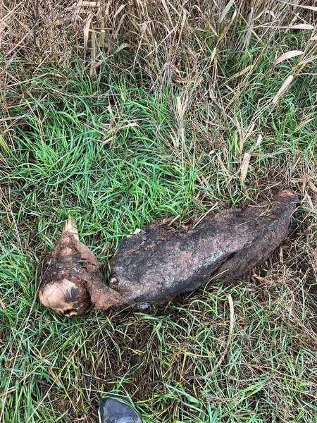 инопланетянин