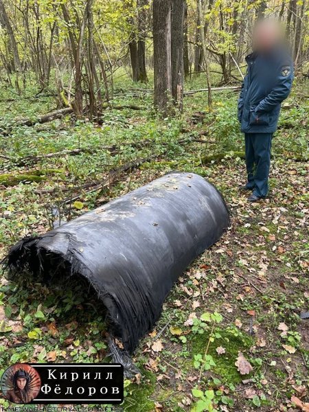 Фламінго корпус