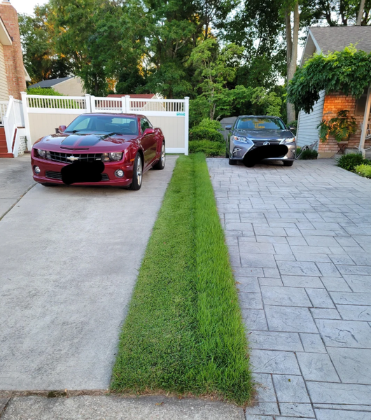 Чоловік показав, наскільки його сусід дріб'язковий, скандали з сусідами, конфлікти, косіння газону