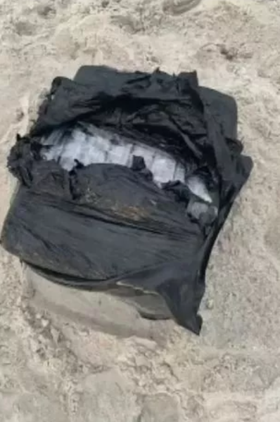 Искал гнездо черепахи, а нашел наркотики, находка на пляже, курьезы, контрабандисты, Флорида, интересные истории, фото