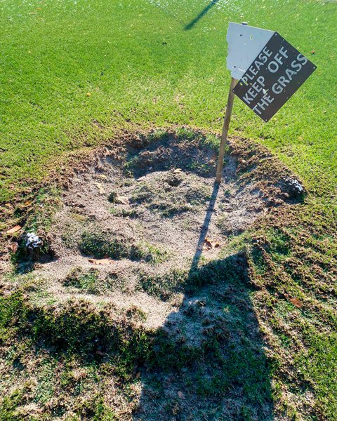 База "Святошин", база ФК Шахтер, Шахтер Донецк