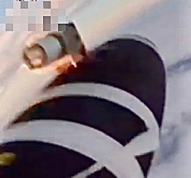 Камера заднего вида "Шахеда"