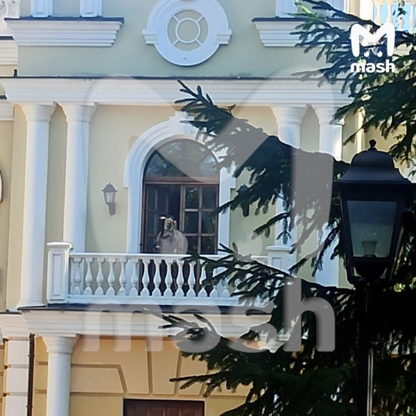 будинок януковича2