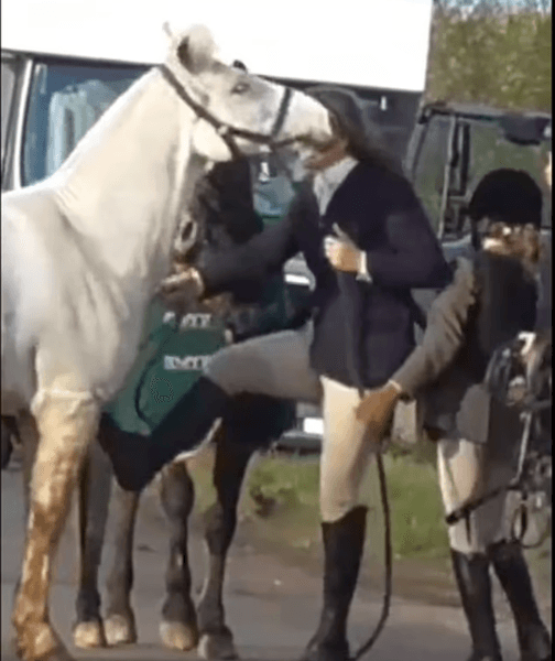 Жінка побила поні, побила коня, била кулаками по морді, покарала поні, суд, жорстоке поводження з твариною,