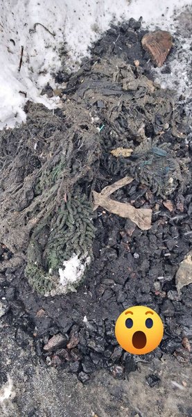 "Самі в шоці": черкаські комунальники показали несподівану знахідку в каналізації (фото)