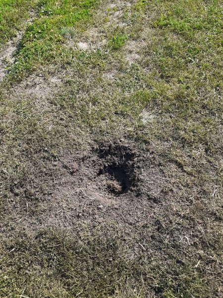 БПЛА атаковал Курск, фото