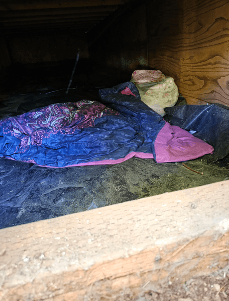 Вход в подвал, подвал, незнакомка жила в подвале, незаконный житель в доме, люди жили в подвале, помогла незнакомке