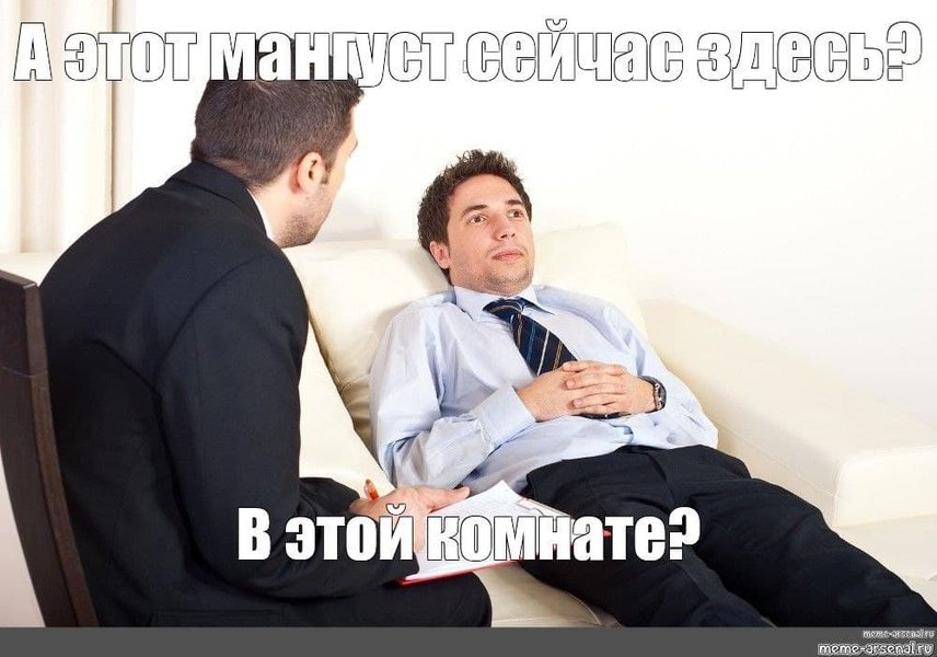 Бросок мангуста