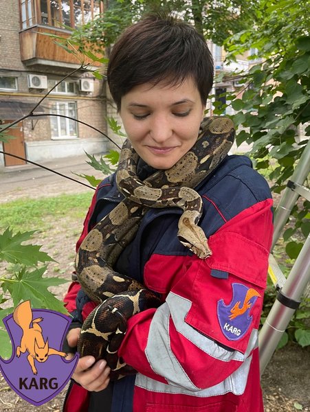 удава на дереве в Киеве