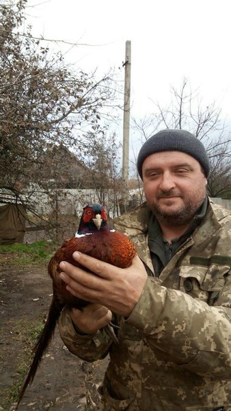 потери в зоне оос