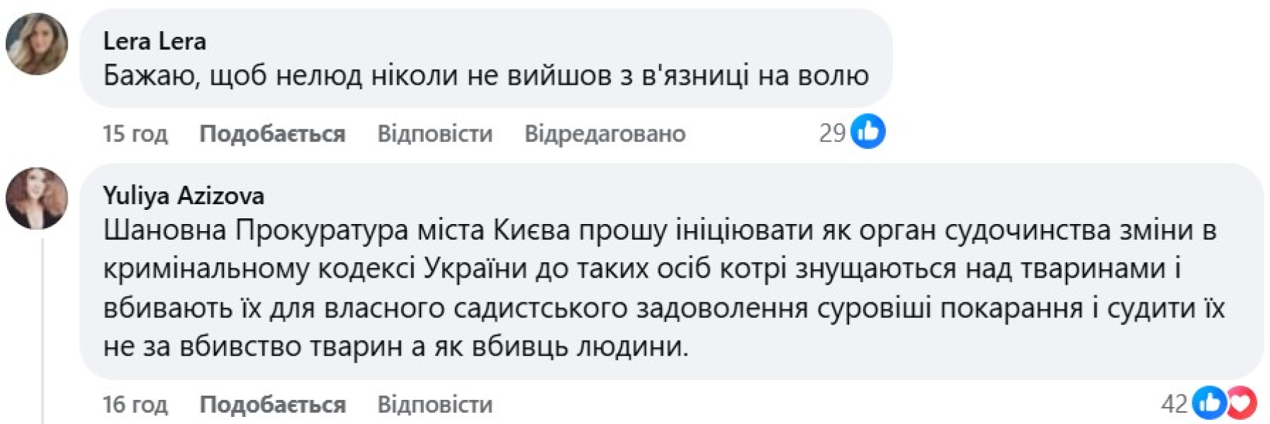 Побиття собаки, Київ, коментарі, покарання, жортстоке поводження з тваринами