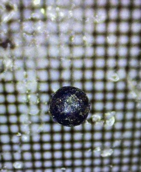 Междузвезден обект на експедицията на Ави Льоб експедиция, Ави Льоб, междузвезден обект