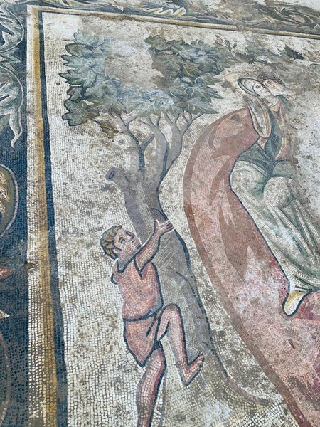 босоногий мальчик, фиговое дерево, мозаика, фото