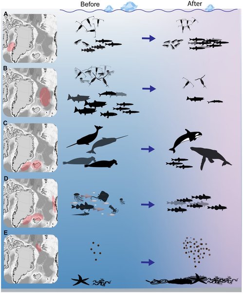 волна тепла океан