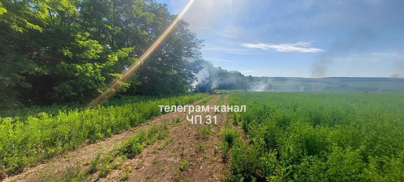 су 25, су 25 белгород, крушение су 25 в белгородской области, крушение су 25 белгородская область