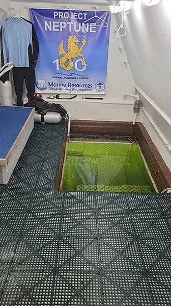 бассейн под водой