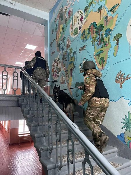 ирпень лицей, лицей ирпень