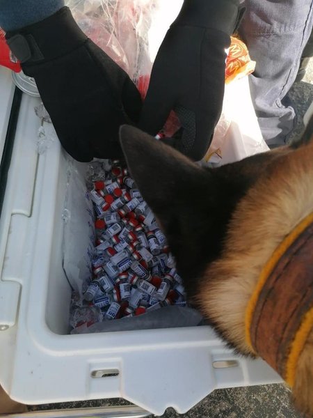 вакцина, вакцинация, спутник v, подделка, вакцинация, пандемия коронавируса, covid-19