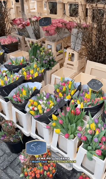 Нидерланды