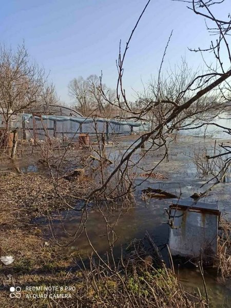 Село Демидов