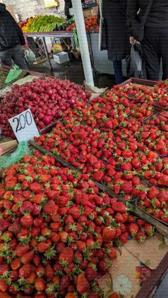 Odessa Club Полуниця в Одесі