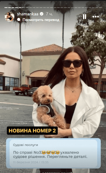 Аліна Шаманська розлучилася